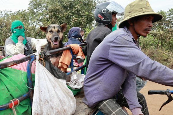 Izbjeglice iz sukoba Tajlanda i Kambodže