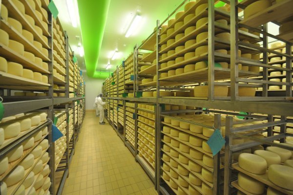 Istarski ovčji sir 52. hrvatski proizvod zaštićenog naziva u EU