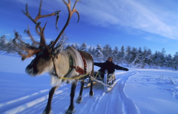 Finska opet najsretnija zemlja svijeta, Hrvatska daleko iza