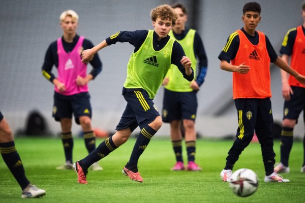 Još je jedan Ibrahimović potpisao za Milan