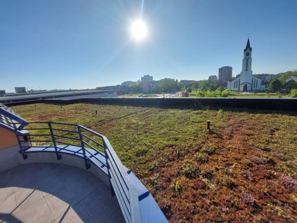 Gradska knjižnici Ivan Goran Kovačić u Karlovcu od 2007. ima zeleni krov