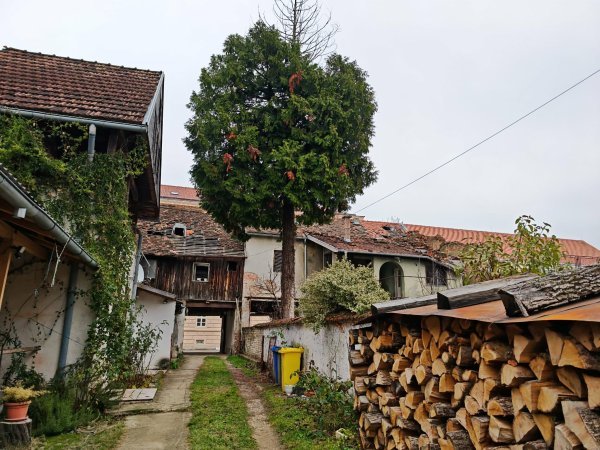 Zdravkovo dvorište, oštećeni krovovi se ne vide s ulice