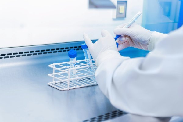 Ruđerovci ispitali devet novih molekula koje bi mogle dati lijek protiv tumora