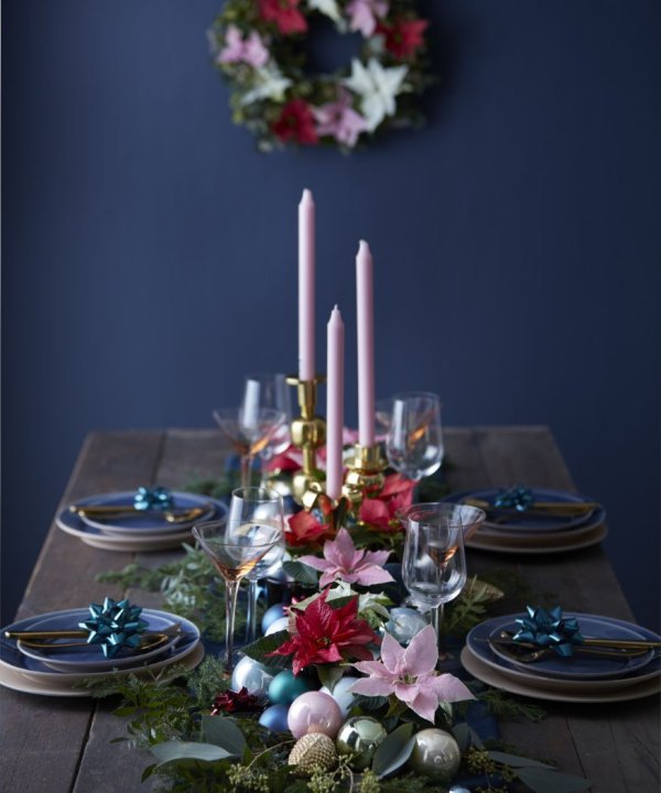 Zaboravite na obične dekoracije: Evo kako s božićnim zvijezdama stvoriti najljepši blagdanski ugođaj