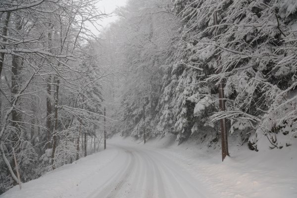 Pogledajte snježnu idilu na Sljemenu: Prizori kao iz bajke nekima nisu ostali u dobrom pamćenju