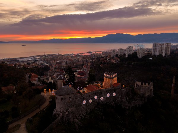 Hrvatski iseljenici iz SAD-a novčano pomogli udruzi udomitelja u Rijeci