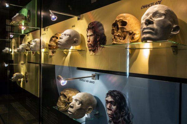 Zubni kamenac riješio jednu od najvećih zagonetki ljudske evolucije