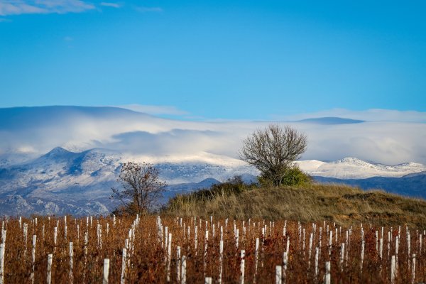 Stižu minusi i zubato sunce: Jadran će propuhati bura, a na kopnu...