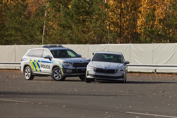 Demonstracija PIT manevra, u kojem policijsko vozilo zaustavlja progonjeno vozilo