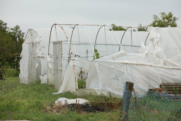 Stižu odštete zbog vremenskih nepogoda: Evo koliko će novca biti isplaćeno