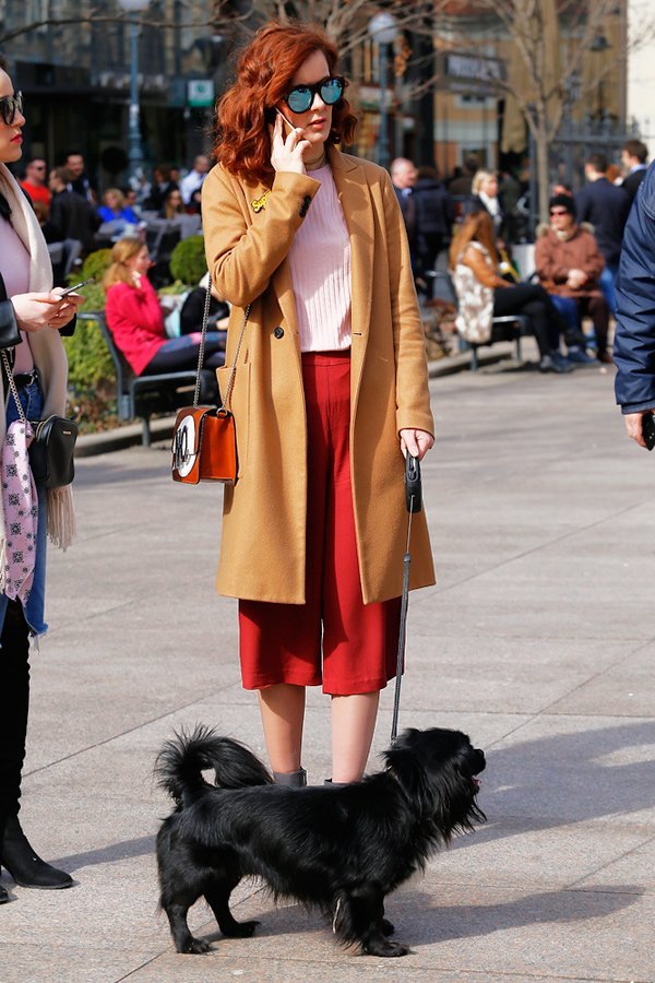 Zagrebačka špica (02)