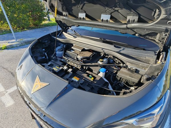 Cupra Tavascan 77 (82) kWh RWD DRIVe