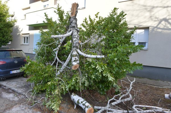 Knin paraliziran zbog nevremena: Sela bez struje, nastava odgođena