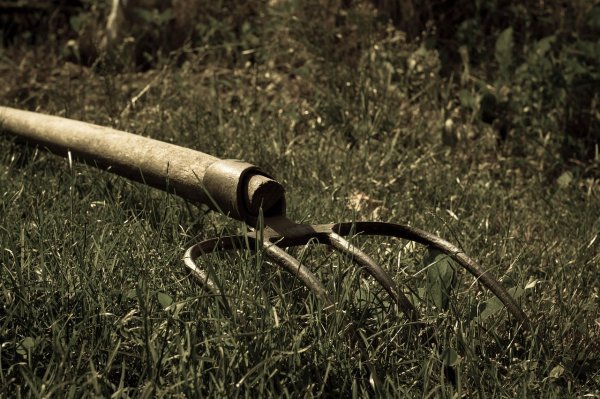 Dvojac letvama napao mladića u njegovom autu: Pokušali ga ubiti, jedan nasrnuo vilama