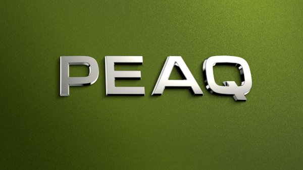 Škoda Peaq - uoči premijere