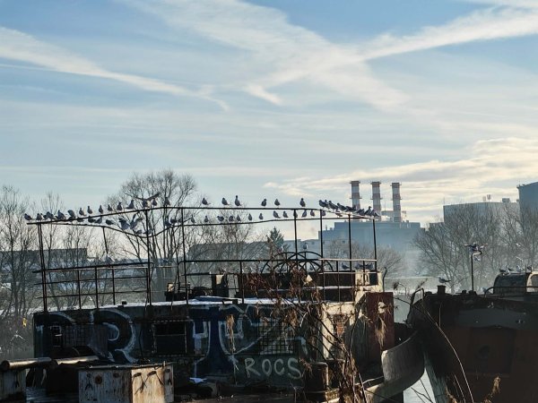 Galebovi su danas jedina posada ovih brodova 