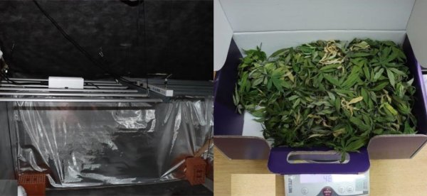 Karlovačka policija razotkrila laboratorij dvojice dilera: Jedan im je pobjegao