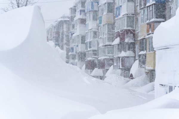 Snijeg na Kamčatki