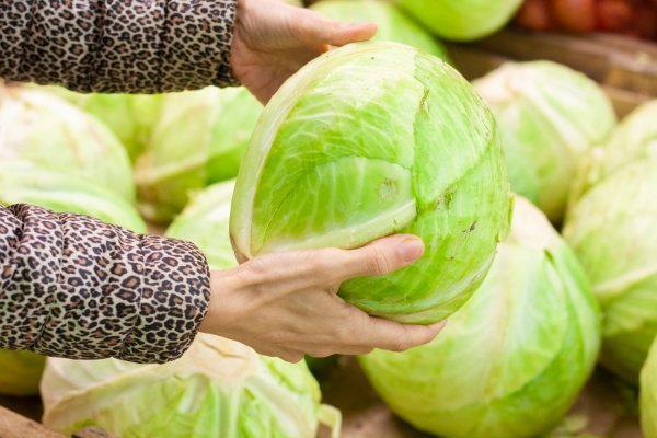 Kupus je jeftina i lako dostupna namirnica