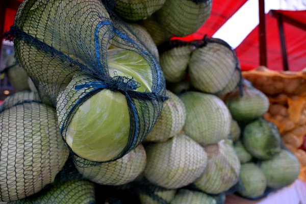 Ekološka proizvodnja u padu: Propada plan države, proizvođača sve manje