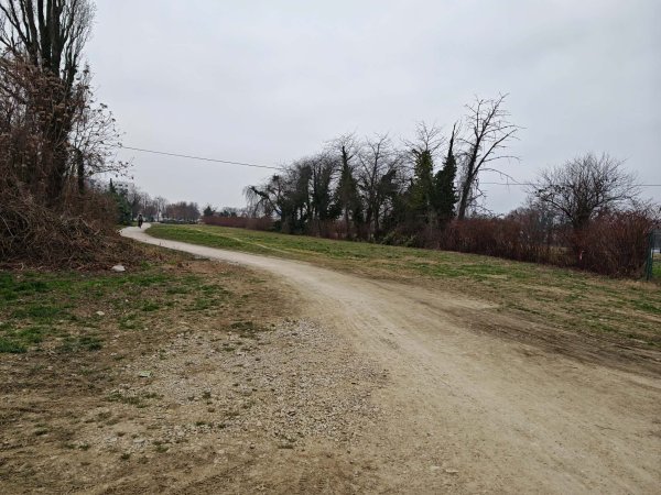 Dašak zelenila na Trešnjevci, na putu prema Selskoj