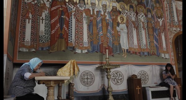 Dolazi mali sivi vuk