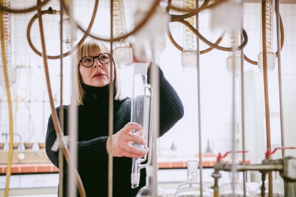 Jasmina Jelić-Balta