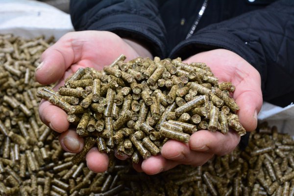 Vreća peleta poskupjela za 65 posto? Halo, inspektore: 'Ovo je alarmantno'