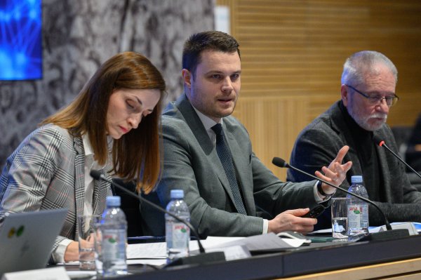 Iva Bjelinski Radić, Ivan Vidiš, Krešimir Sever