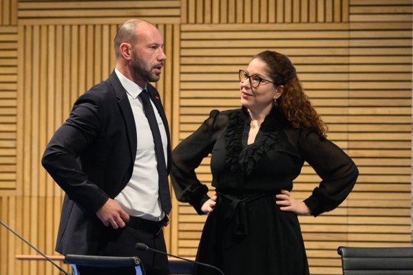 Damir Habijan, Tena Šimonović Einwalter