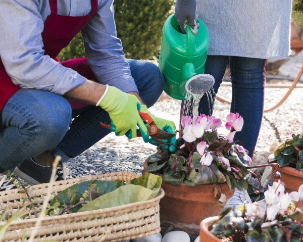 Ako imate biljke, ovo morate znati – plastične teglice kakve poznajemo odlaze u povijest