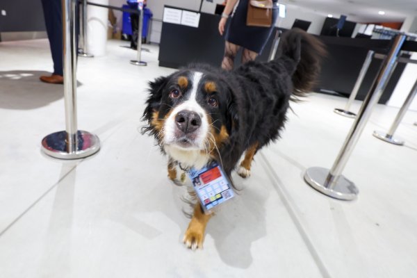 Navijači uoči utakmice Hrvatske i Njemačke