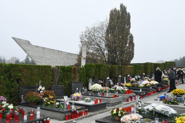 Groblje Sisak (ilustracija)