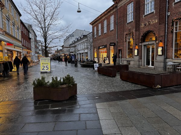 Danci ne bi mijenjali svoje kišne ulice američkim protektoratom ni za koji novac