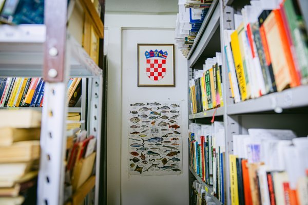 Tu je čak i plakat o ribama kao još jedan mali edukativni detalj