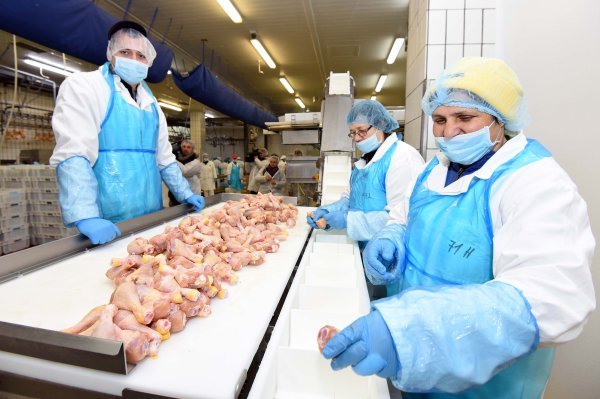 Ukrajinci su već preuzeli Perutninu Ptuj i čakovečki Pipo - ilustracija