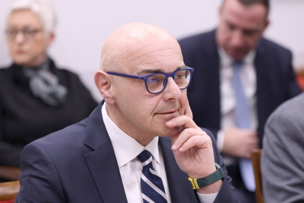 Alen Ružić Piletićev je nasljednik