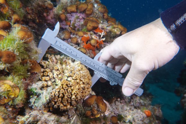 Zaklada spaja lokalno stanovništvo i donatora te im pomaže