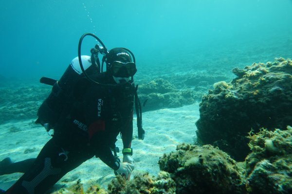 U projekt istraživanja koralja uključili su se i studenti