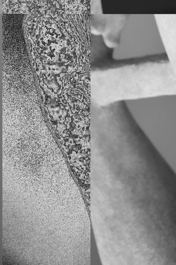 Memory Image Memory Surface, Ivana Tkalčić