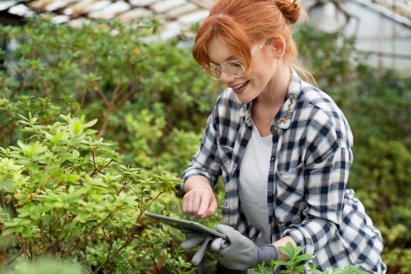 Ako ste početnica u vrtu ili ne želite uložiti previše truda, sadite luk ili češnjak
