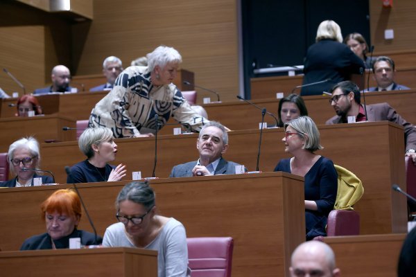 Sabor o izvješću Vrhovnog suda, Jalšovečki: Nisam mislila da ću biti ovako dugo vršiteljica dužnosti