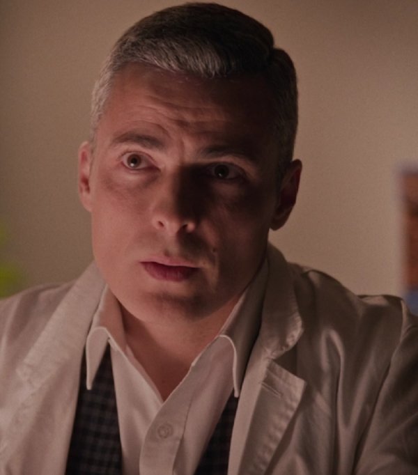 Zoran Pribičević u seriji 'Divlje pčele'