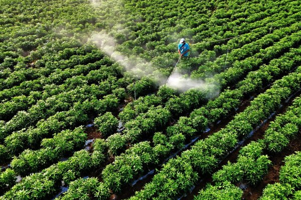 Nije samo nafta: Kako bi rat na Bliskom istoku mogao izazvati manjak hrane diljem svijeta