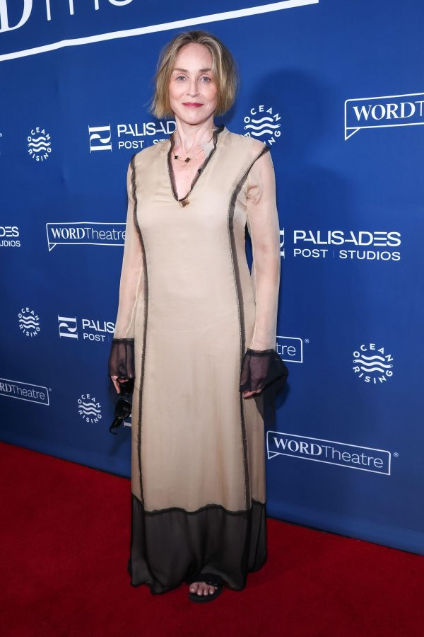 Jednostavno, odmjereno, savršeno: Sharon Stone zasjala u divnoj haljini s efektnim detaljima