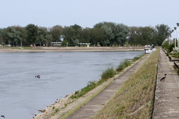 Počelo uređenje šetnice uz rijeku Dravu, poznato koliko će sve koštati