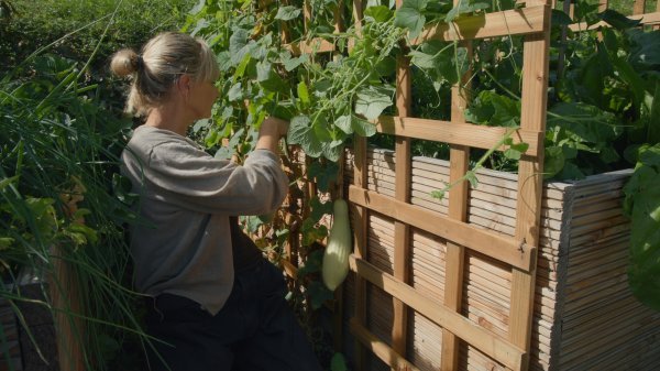 Kornelija Benyovsky Šoštarić