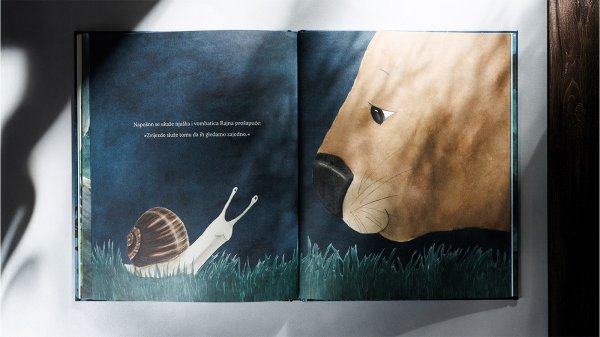 Čemu služe zvijezde