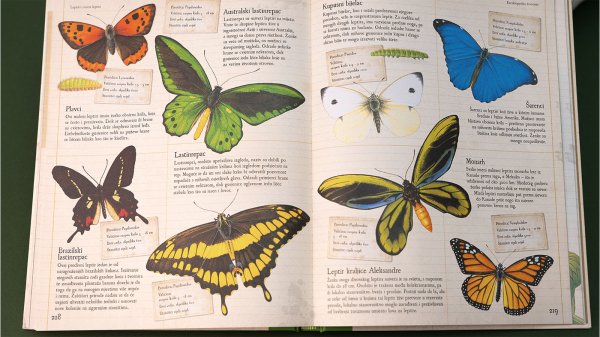 Enciklopedija životinja