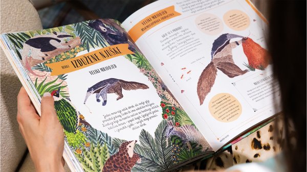 Rasti – Dječji vodič za životinje i gdje ih pronaći